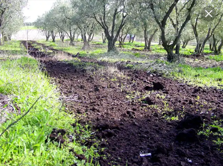 IMG ۲۰۱۸۰۵۲۸ ۱۵۰۷۵۶ |