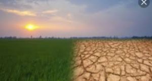 هیومیک اسید خارجی |