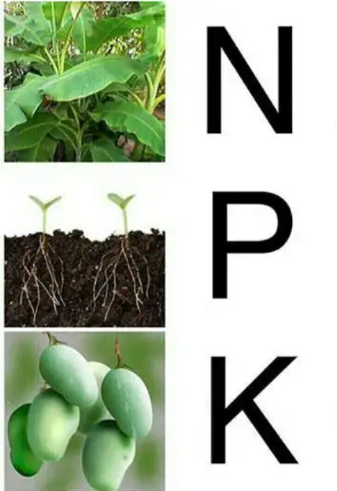 IMG ۲۰۱۸۰۴۲۶ ۱۷۰۷۳۳ 1 |