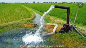 قیمت کود هیومیک اسید