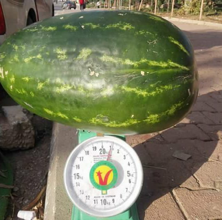 قیمت کود کامل