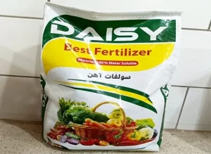 MPEi0PHzBV2uBHg78rtno6BUe3rEYatWLOPK3x7RmwexnGkycz.jpg 512X512X70 11zon 11zon |