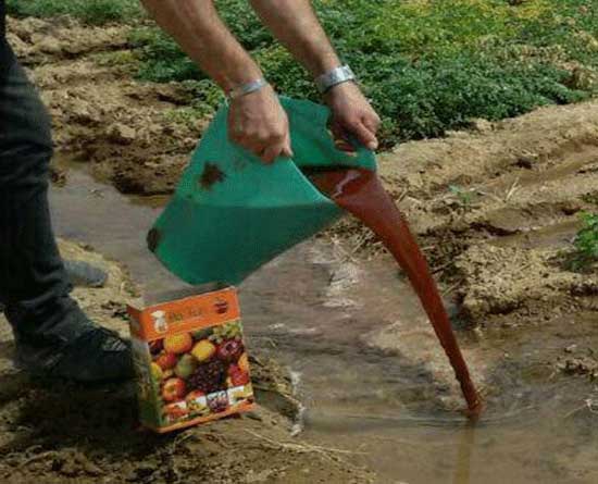 استفاده از کود آهن بیولوژیک RNA |