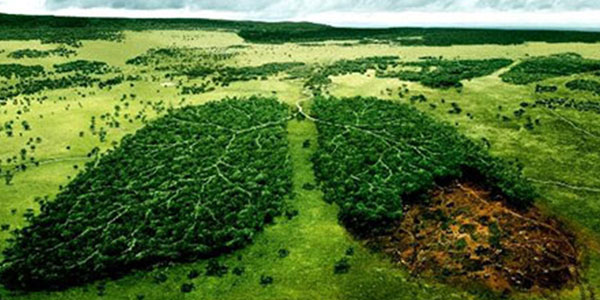 آهن بیولوژیک به عنوان تثبیت کننده آهن |