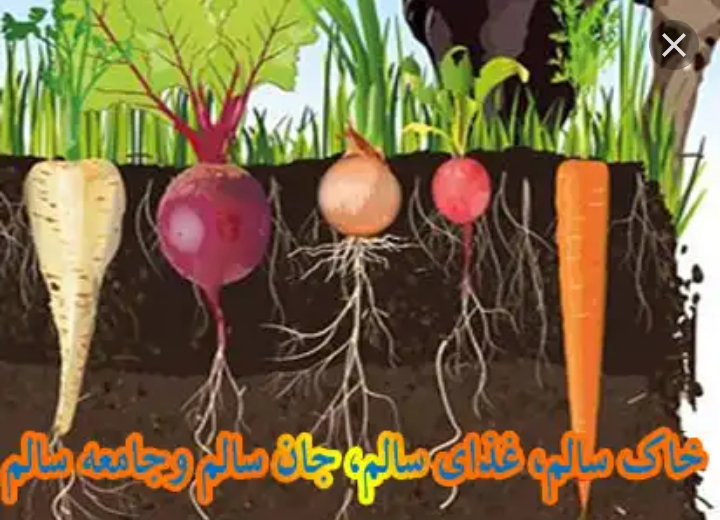 قیمت کود مرغی