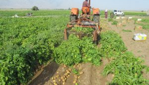 کشاورزی ایران