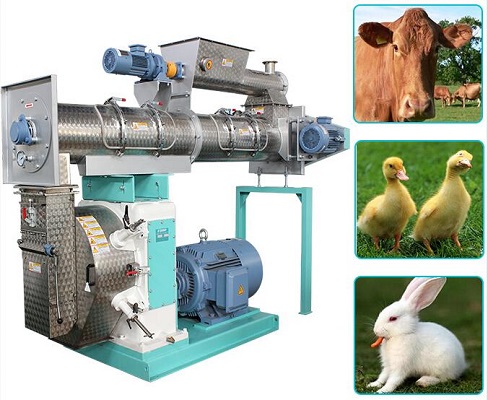 دستگاه پرس پلت خوراک دام