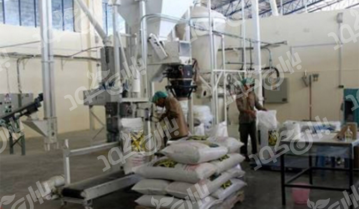 خط تولید کود ارگانیک