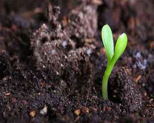 2018 09 23 58a2bc9b8e7d419a872cc537f1c7ec97 |