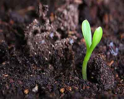 2018 09 23 58a2bc9b8e7d419a872cc537f1c7ec97 |