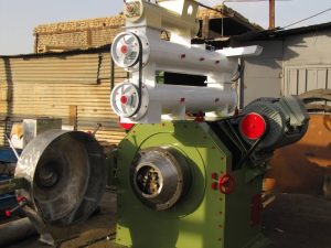 IMG 20230121 152559 836 1 |