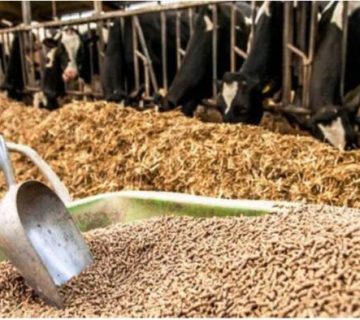 Screenshot ۲۰۲۴۰۳۰۴ ۱۱۲۴۰۲ Chrome |