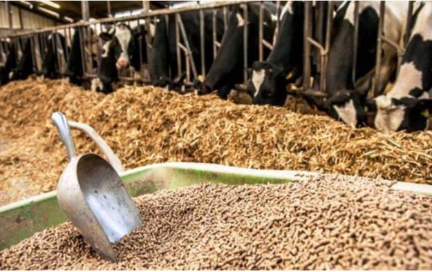 Screenshot ۲۰۲۴۰۳۰۴ ۱۱۲۴۰۲ Chrome |