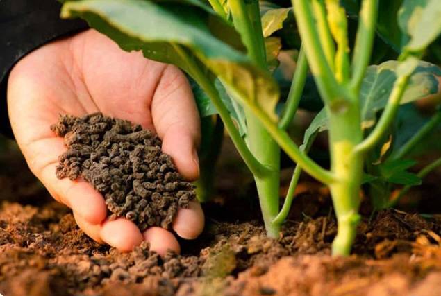 Screenshot ۲۰۲۴۰۳۰۷ ۱۶۵۶۵۲ Chrome |