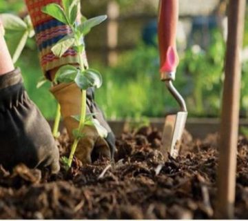 Screenshot ۲۰۲۴۰۳۰۷ ۱۶۵۷۱۹ Chrome |