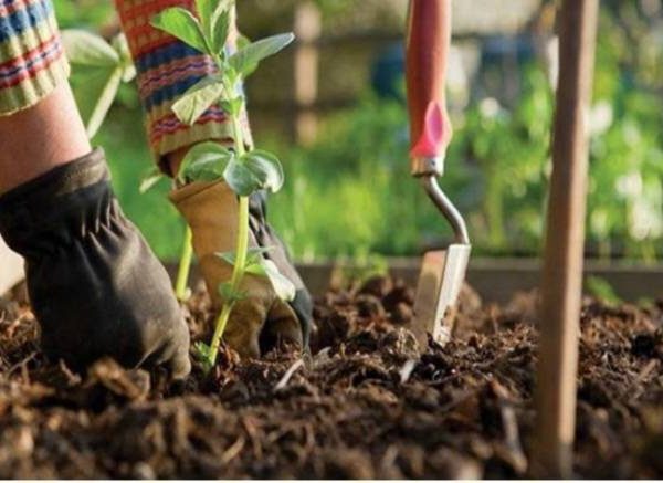 Screenshot ۲۰۲۴۰۳۰۷ ۱۶۵۷۱۹ Chrome |