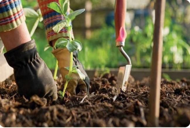 Screenshot ۲۰۲۴۰۳۰۷ ۱۶۵۷۱۹ Chrome |