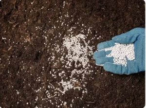 Screenshot ۲۰۲۴۰۳۰۹ ۰۹۵۹۳۱ Chrome |