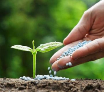 Screenshot ۲۰۲۴۰۳۱۲ ۱۳۲۳۲۴ Chrome |