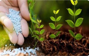 Screenshot ۲۰۲۴۰۳۱۲ ۱۳۲۵۲۷ Chrome |