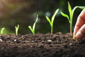 Screenshot ۲۰۲۴۰۳۱۲ ۱۳۲۶۴۵ Chrome |