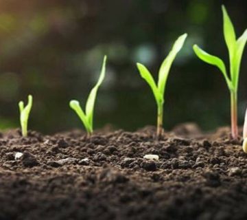 Screenshot ۲۰۲۴۰۳۱۲ ۱۳۲۶۴۵ Chrome |