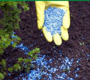 Screenshot ۲۰۲۴۰۳۱۳ ۱۲۵۵۵۱ Chrome |