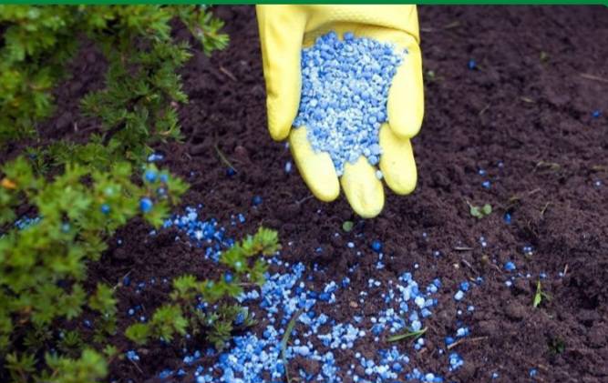 Screenshot ۲۰۲۴۰۳۱۳ ۱۲۵۵۵۱ Chrome |