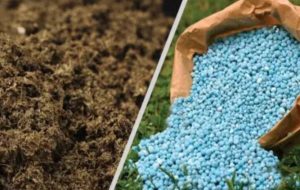 Screenshot ۲۰۲۴۰۳۱۳ ۱۲۵۶۱۴ Chrome |