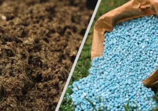 Screenshot ۲۰۲۴۰۳۱۳ ۱۲۵۶۱۴ Chrome |