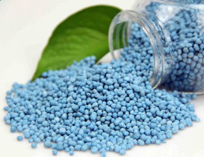 Screenshot ۲۰۲۴۰۳۱۳ ۱۲۵۶۳۵ Chrome |