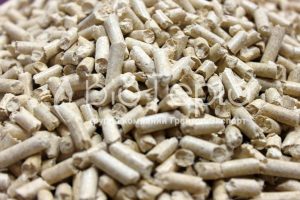 IMG 20220912 WA0084 |