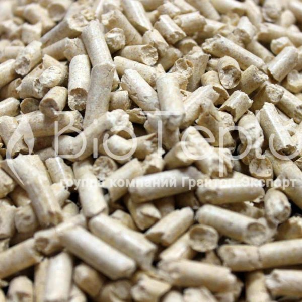 IMG 20220912 WA0084 |