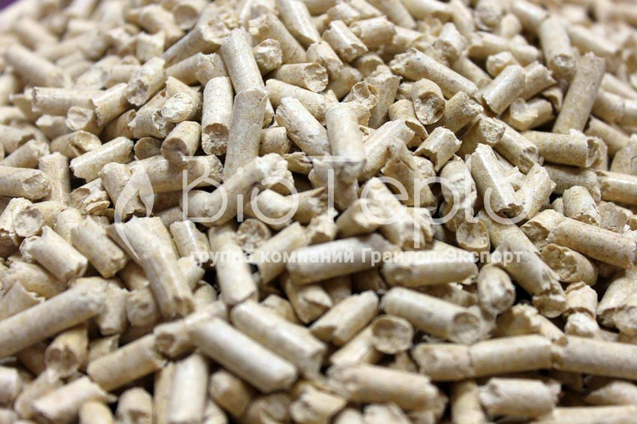 IMG 20220912 WA0084 |