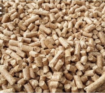 IMG 20220912 WA0095 |