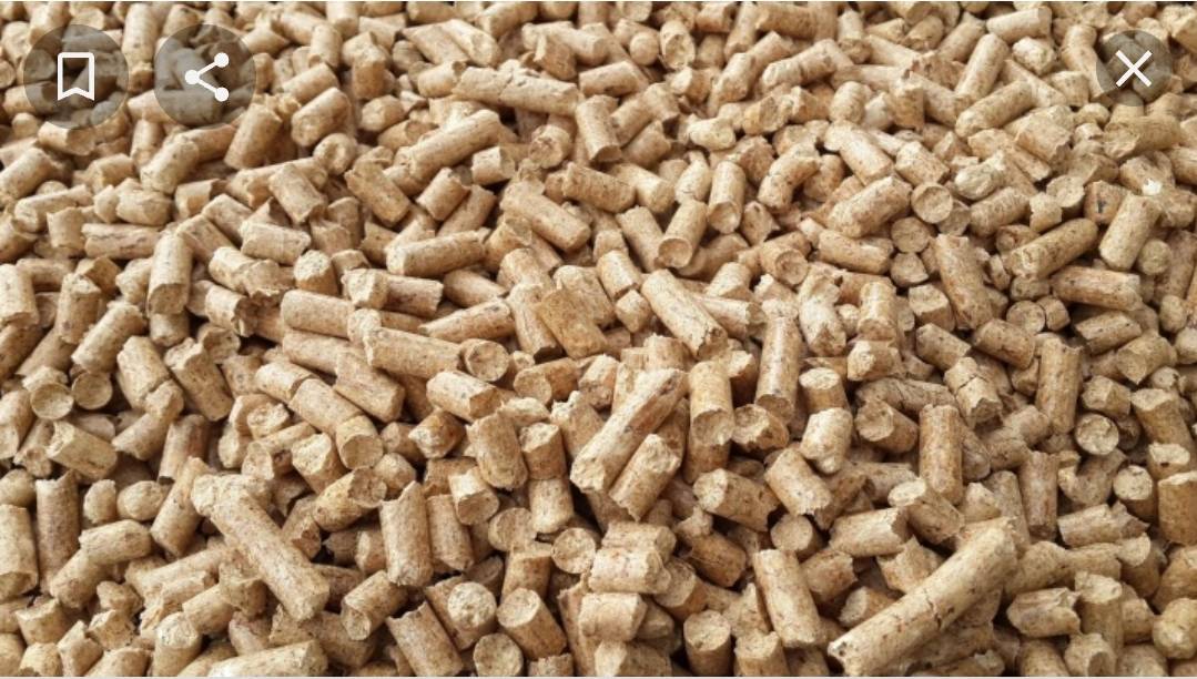 IMG 20220912 WA0095 |