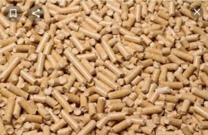 IMG 20220912 WA0096 1 |