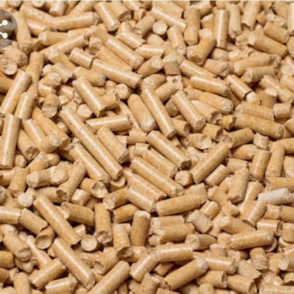 IMG 20220912 WA0096 1 |