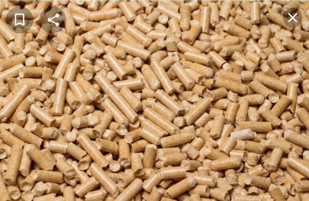 IMG 20220912 WA0096 |