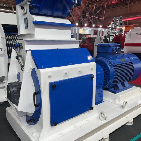 IMG 20240723 WA0013 |