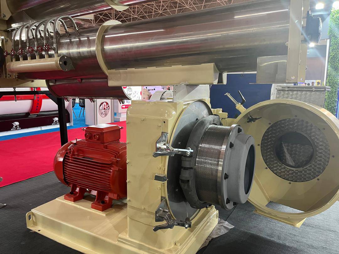 IMG 20240723 WA0017 |