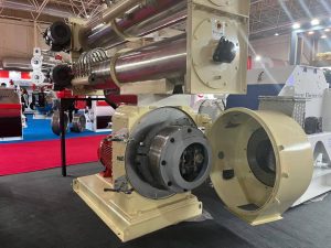 IMG 20240723 WA0018 |