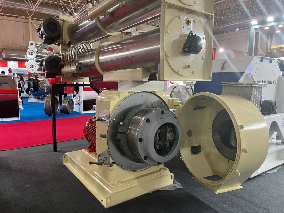 IMG 20240723 WA0018 |