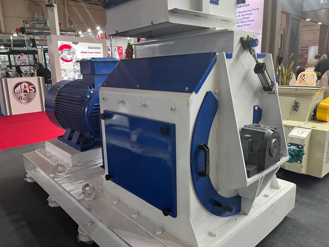 IMG 20240723 WA0036 |