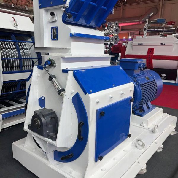 IMG 20240723 WA0038 |