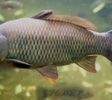 Screenshot ۲۰۲۴۱۰۰۶ ۱۱۱۵۴۰ Google |