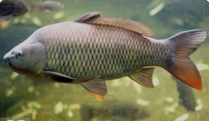 Screenshot ۲۰۲۴۱۰۰۶ ۱۱۱۵۴۰ Google |