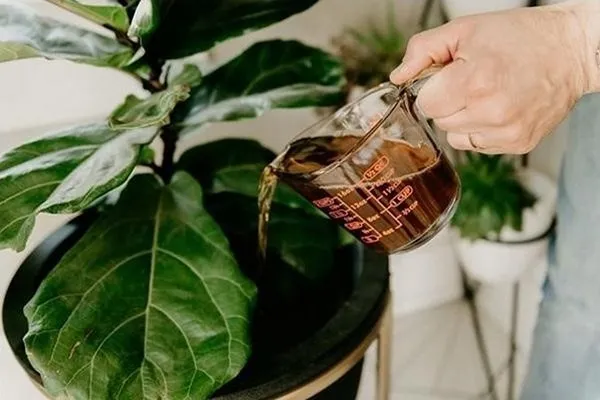 021 copy 11zon 11zon 1 |