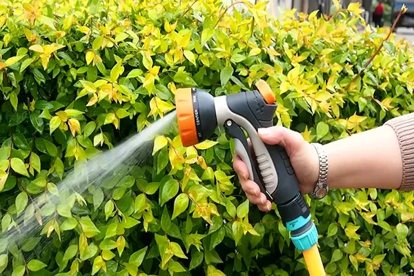 O1CN015IGFmx1eZpn2swbYS 6000000003886 0 tbvideo 11zon 11zon |