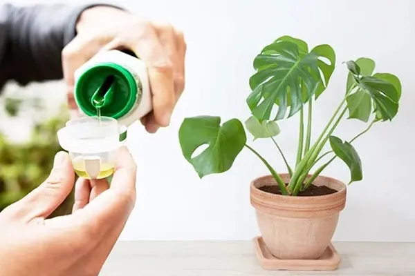 استفاده از کودهای مایع 1 |